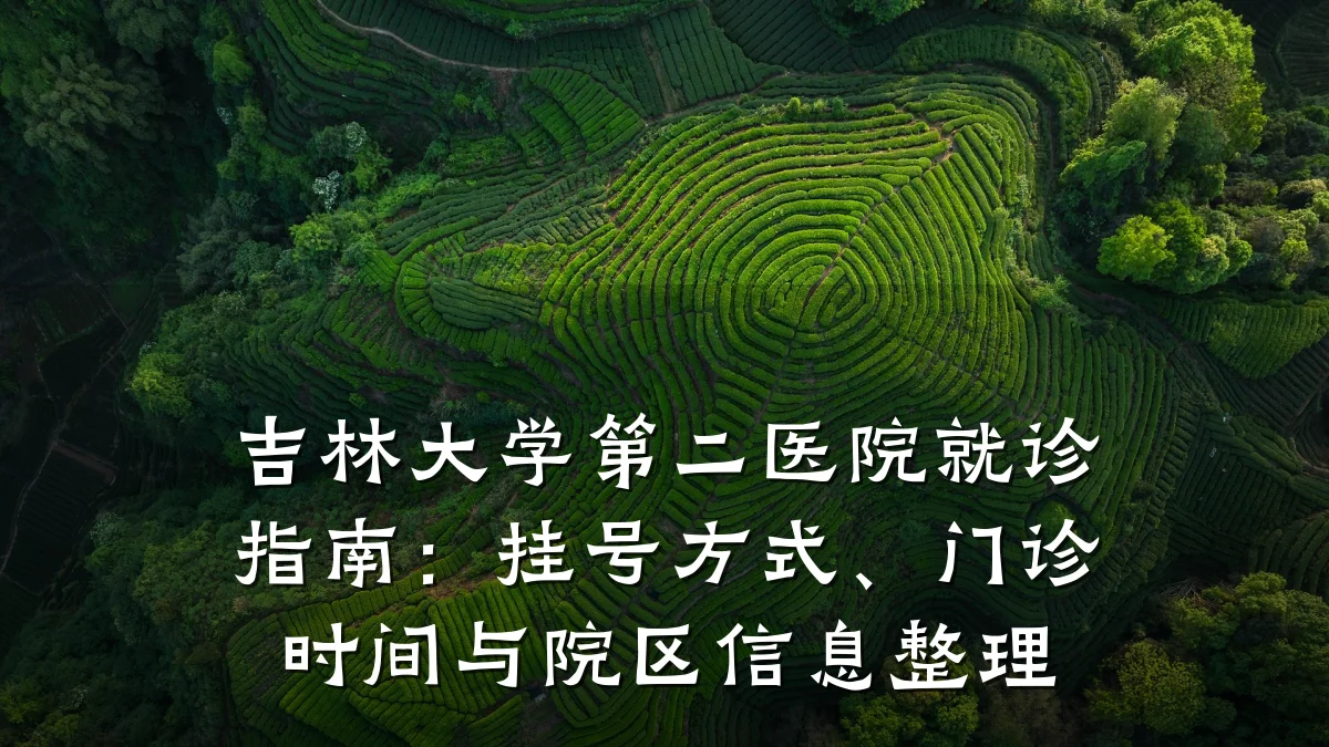 吉林大学第二医院就诊指南:挂号方式、门诊时间与院区信息整理