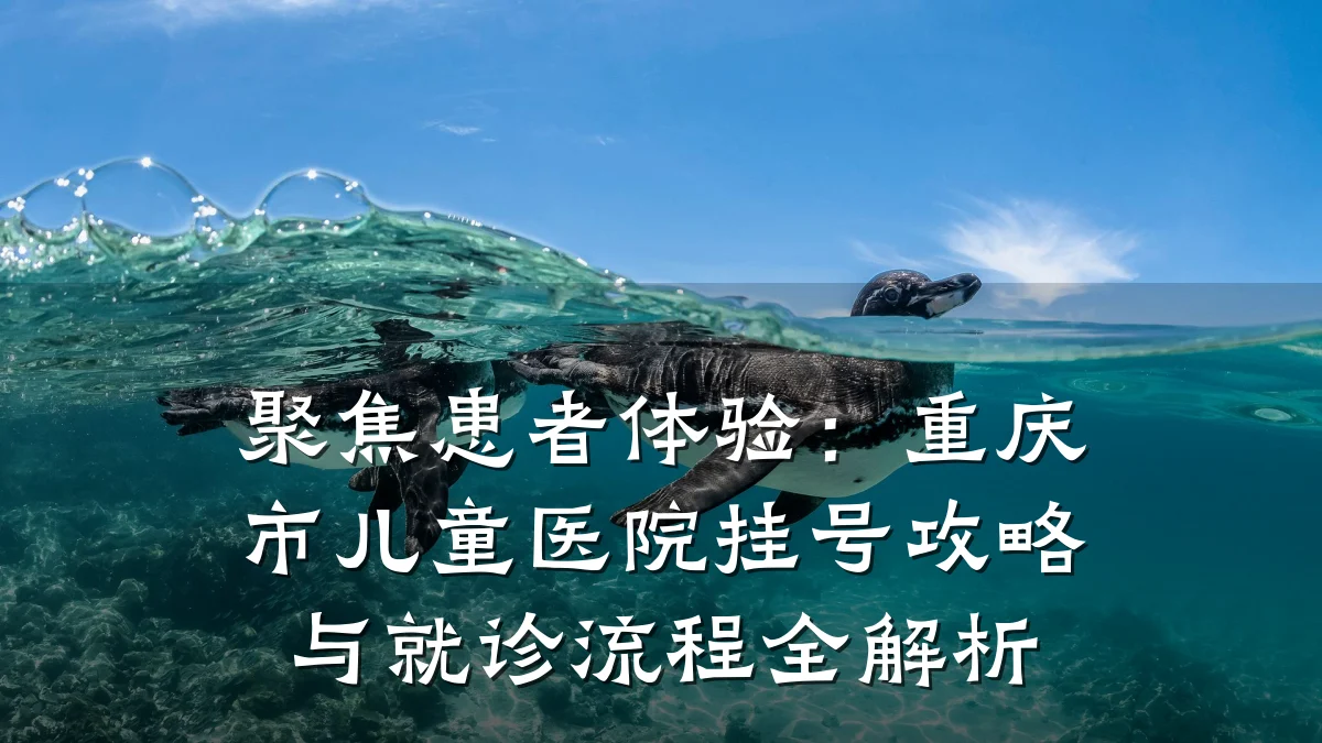 聚焦患者体验:重庆市儿童医院挂号攻略与就诊流程全解析