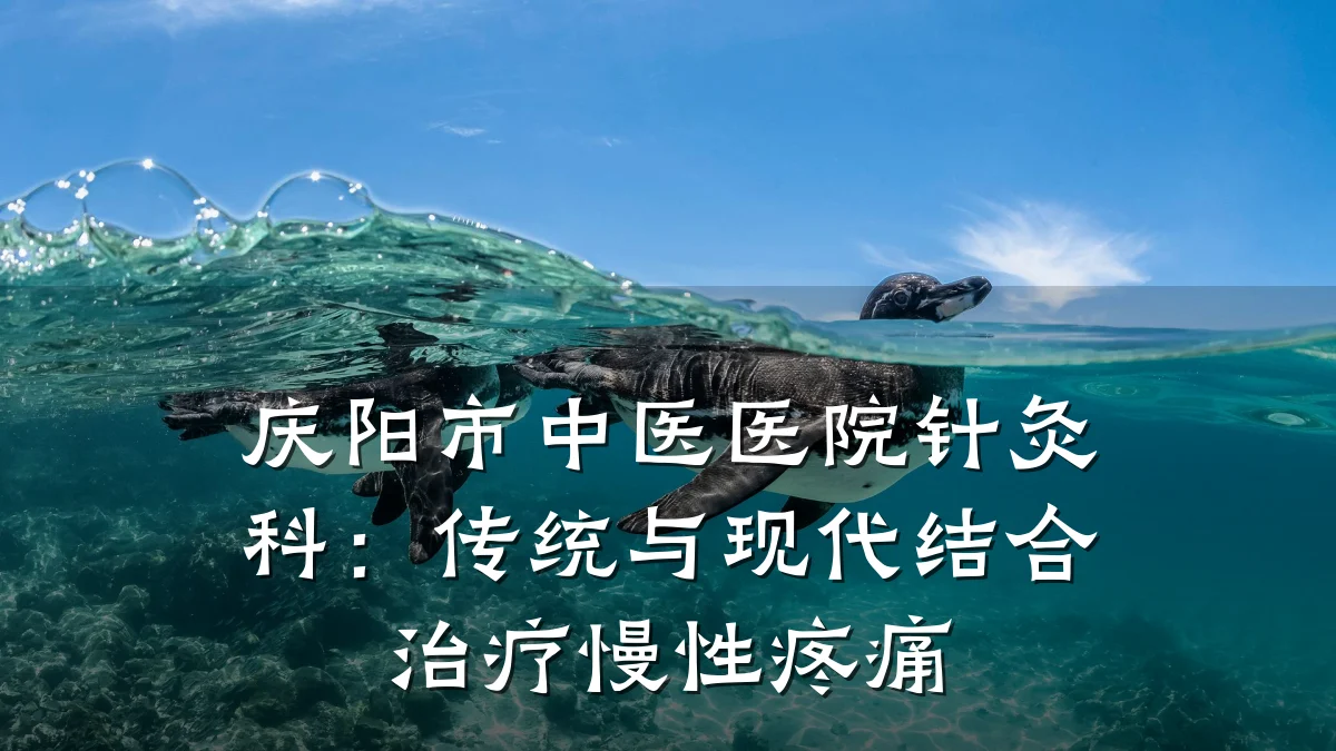 庆阳市中医医院针灸科:传统与现代结合治疗慢性疼痛