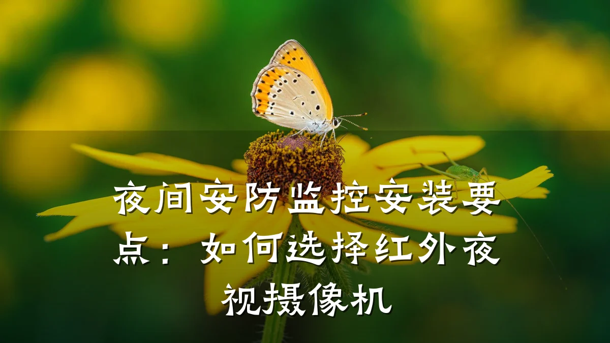 夜间安防监控安装要点：如何选择红外夜视摄像机
