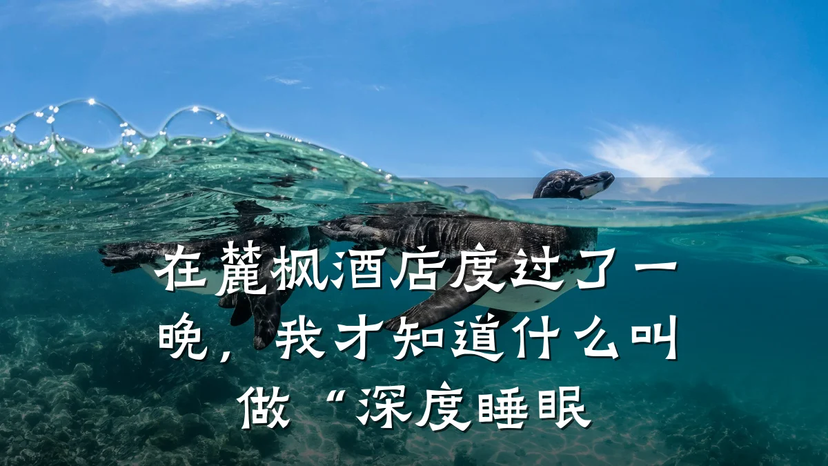 在麓枫酒店度过了一晚,我才知道什么叫做“深度睡眠