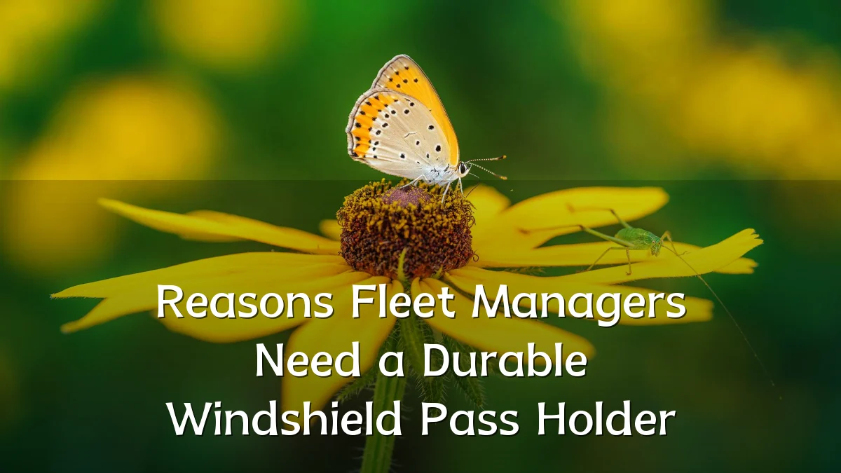 Reasons Fleet Managers Need a Durable Windshield Pass Holder