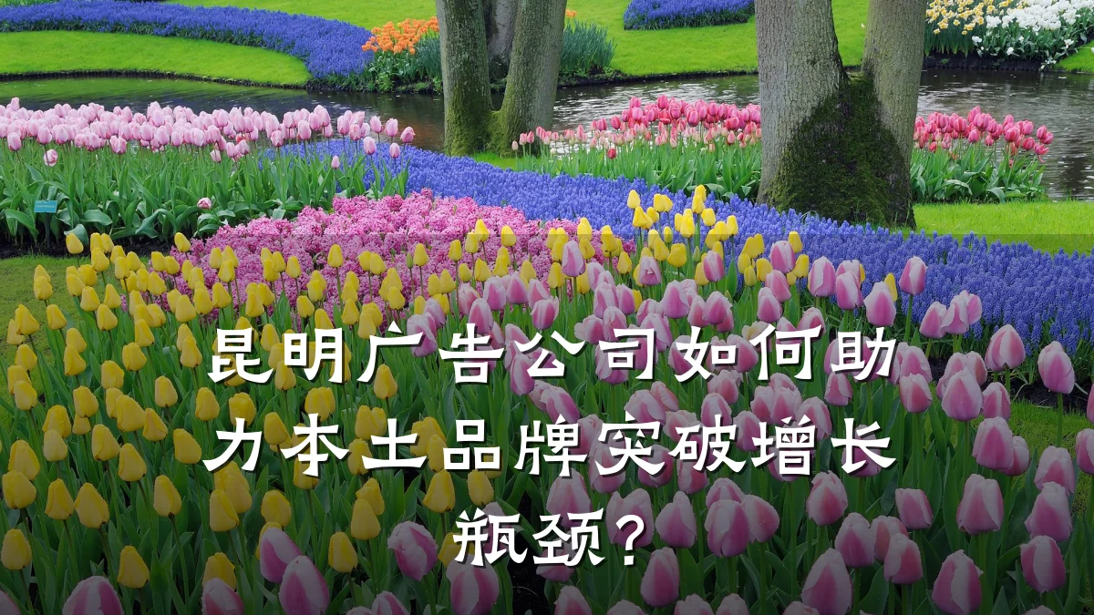 昆明广告公司如何助力本土品牌突破增长瓶颈?
