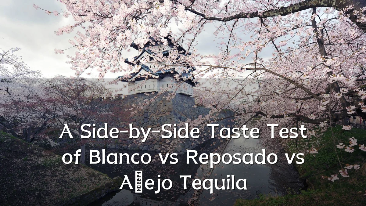 A Side-by-Side Taste Test of Blanco vs Reposado vs Añejo Tequila