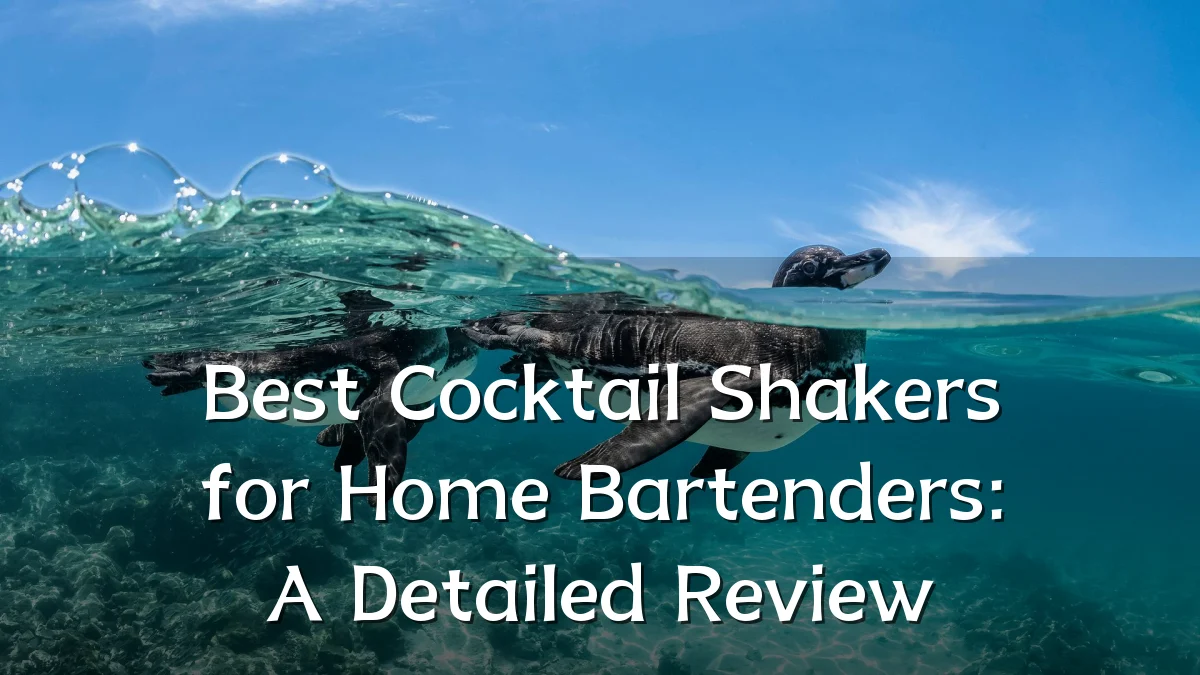 Best Cocktail Shakers for Home Bartenders: A Detailed Review