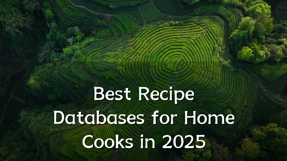 Best Recipe Databases for Home Cooks in 2025