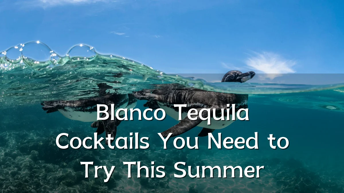 Blanco Tequila Cocktails You Need to Try This Summer