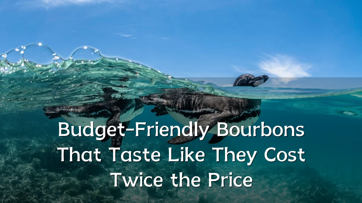 Budget-Friendly Bourbons That Taste Like They Cost Twice the Price