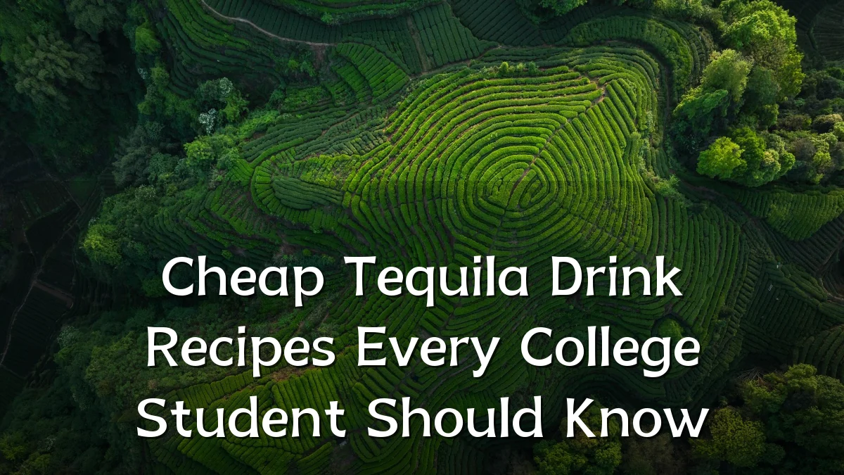 Cheap Tequila Drink Recipes Every College Student Should Know