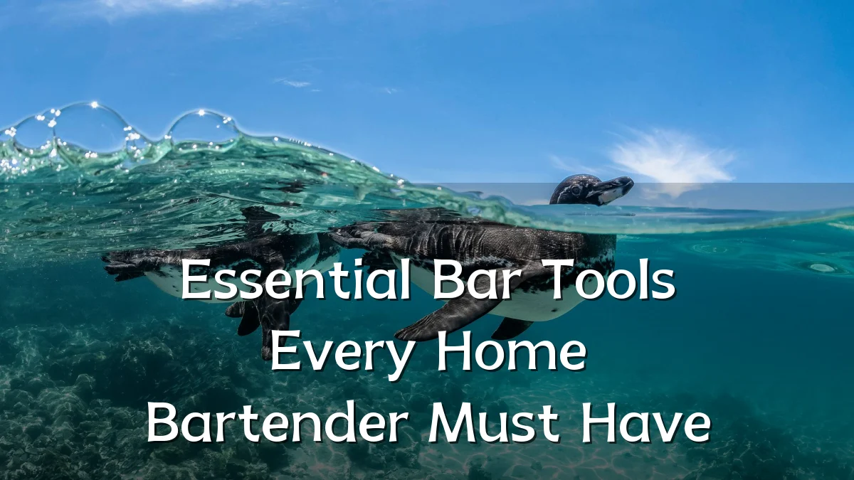 Essential Bar Tools Every Home Bartender Must Have