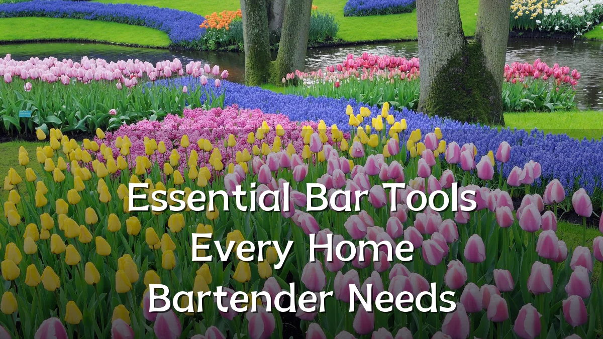 Essential Bar Tools Every Home Bartender Needs