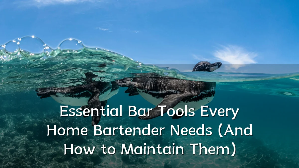 Essential Bar Tools Every Home Bartender Needs (And How to Maintain Them)