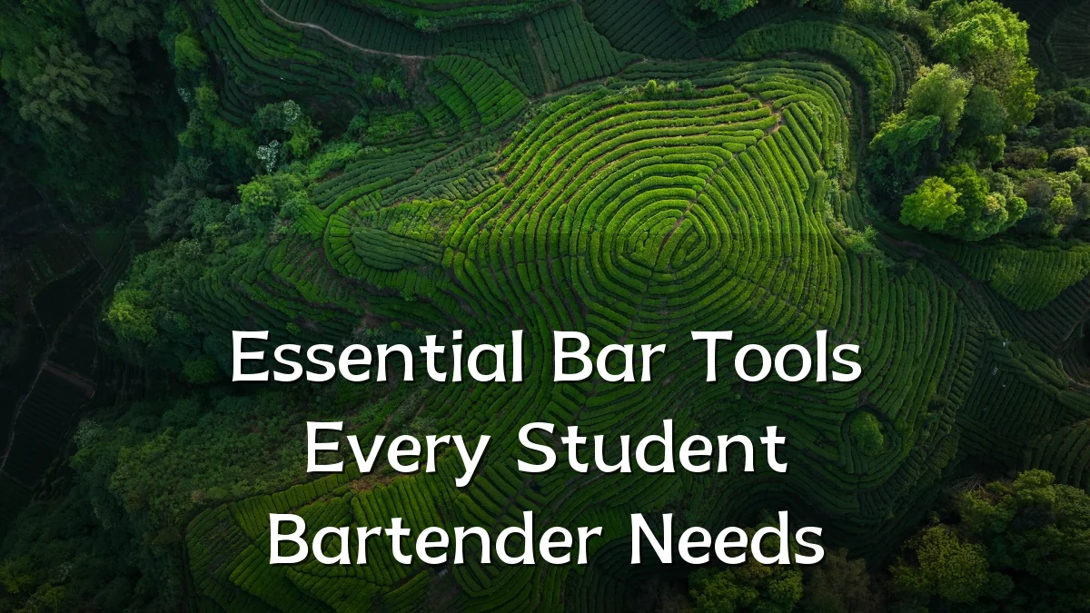Essential Bar Tools Every Student Bartender Needs