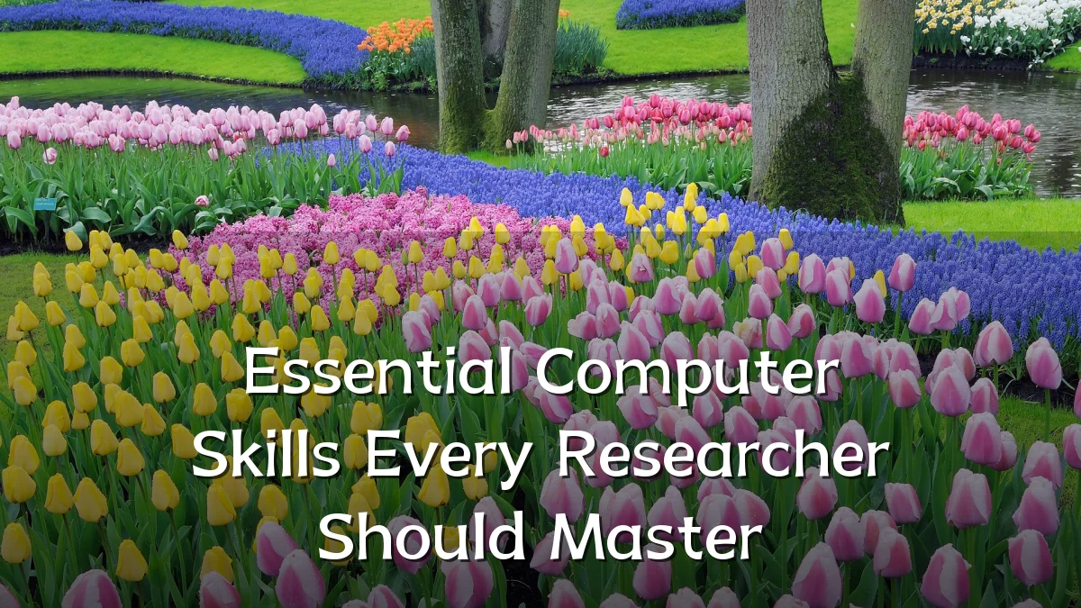 Essential Computer Skills Every Researcher Should Master