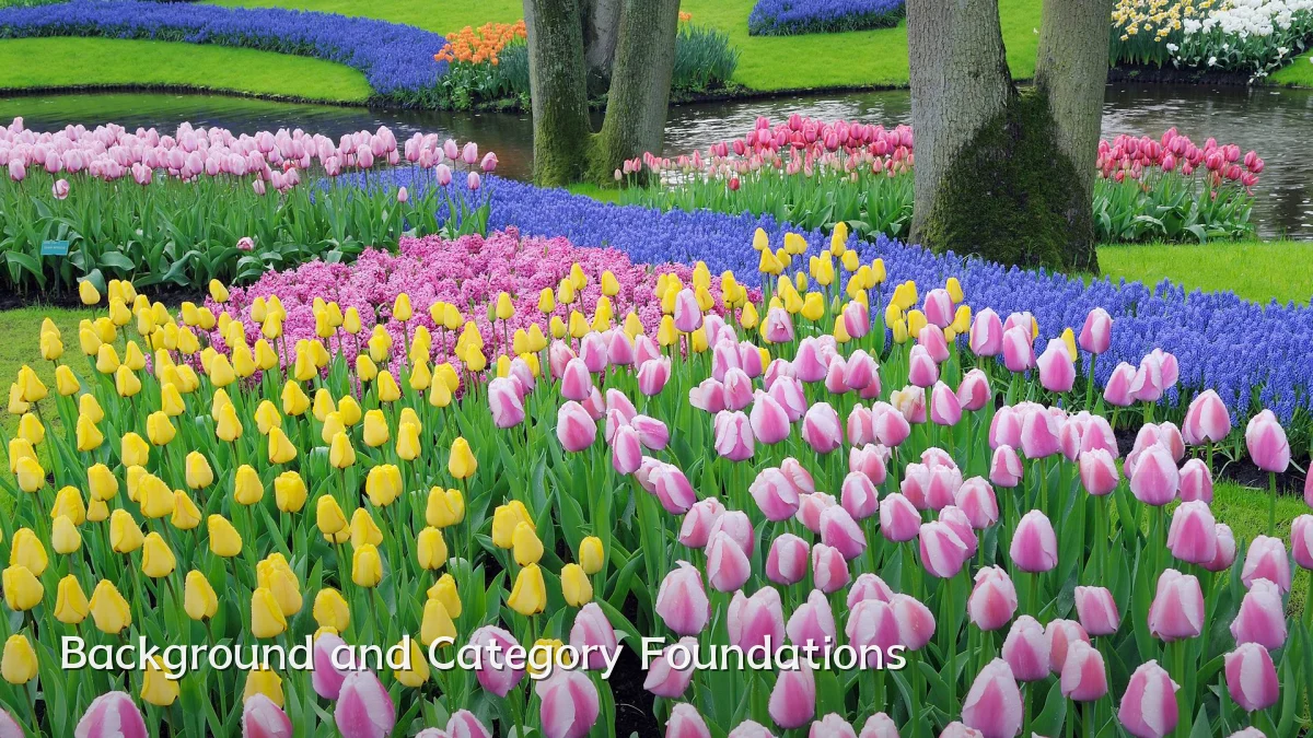 Background and Category Foundations