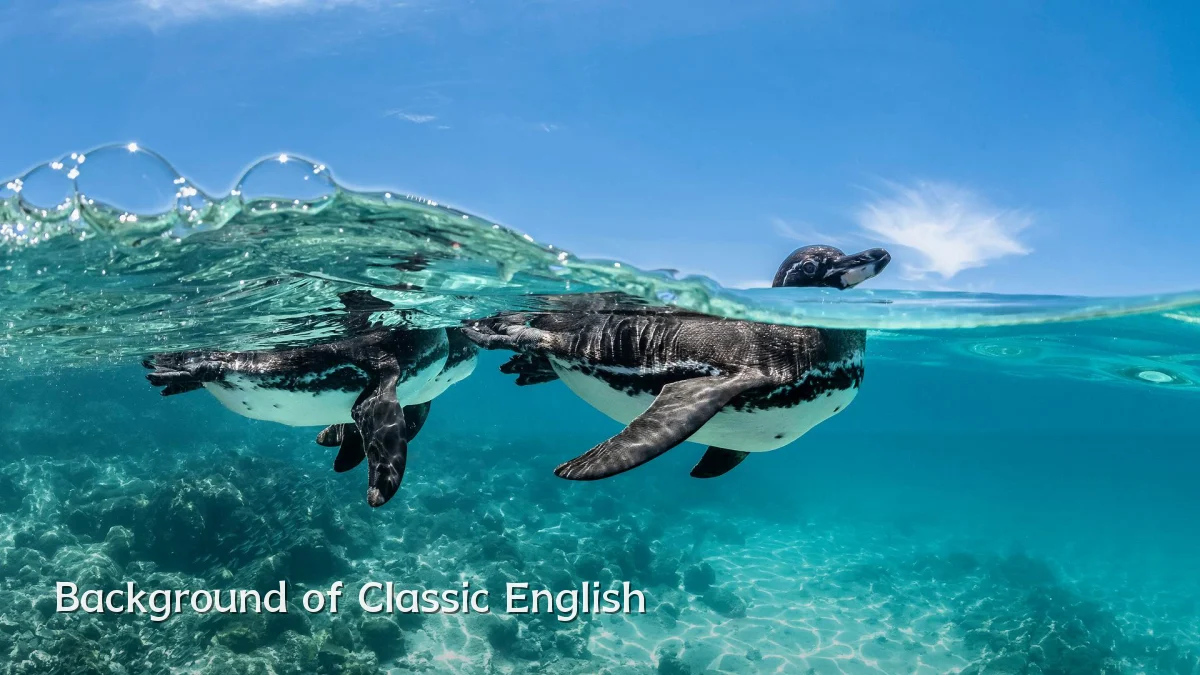 Background of Classic English