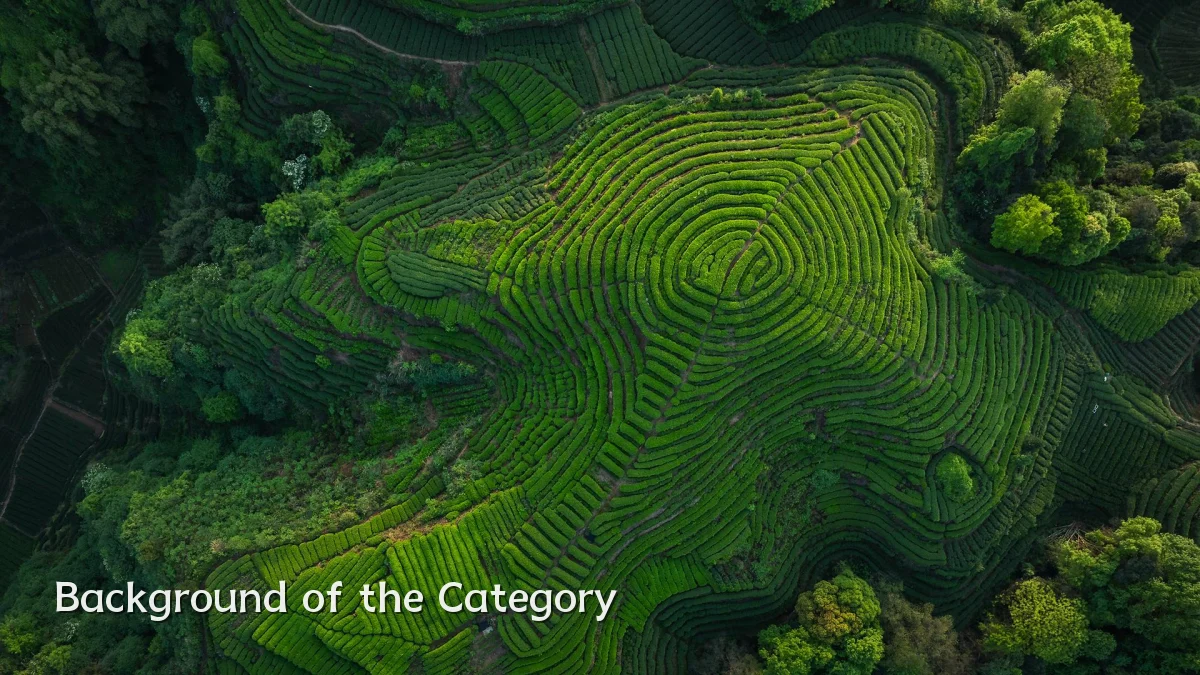 Background of the Category