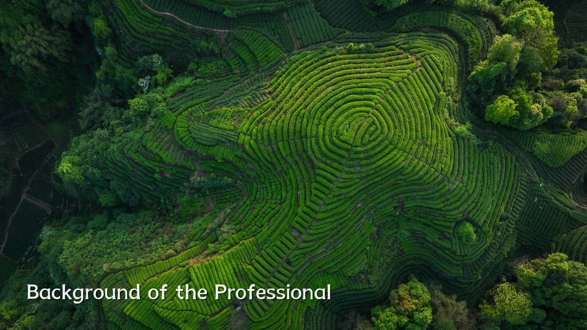 Background of the Professional
