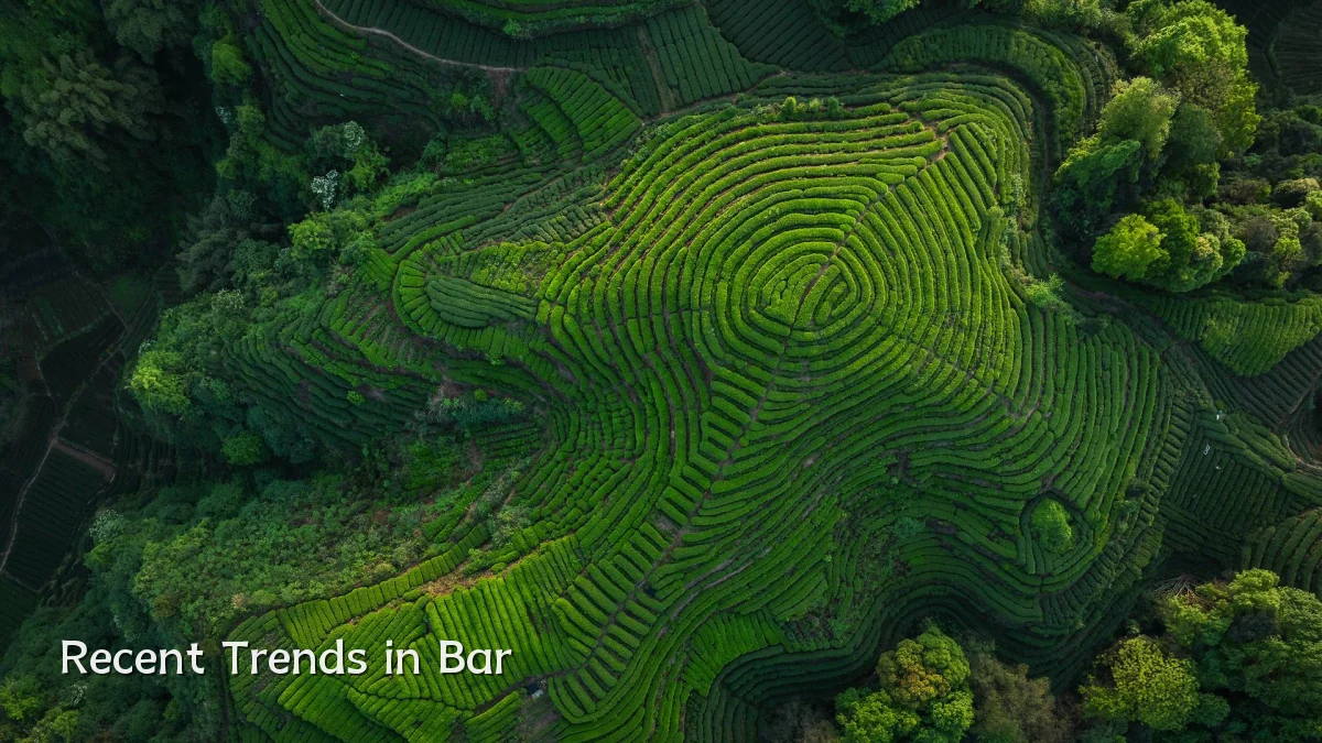 Recent Trends in Bar