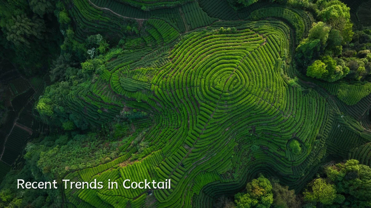 Recent Trends in Cocktail