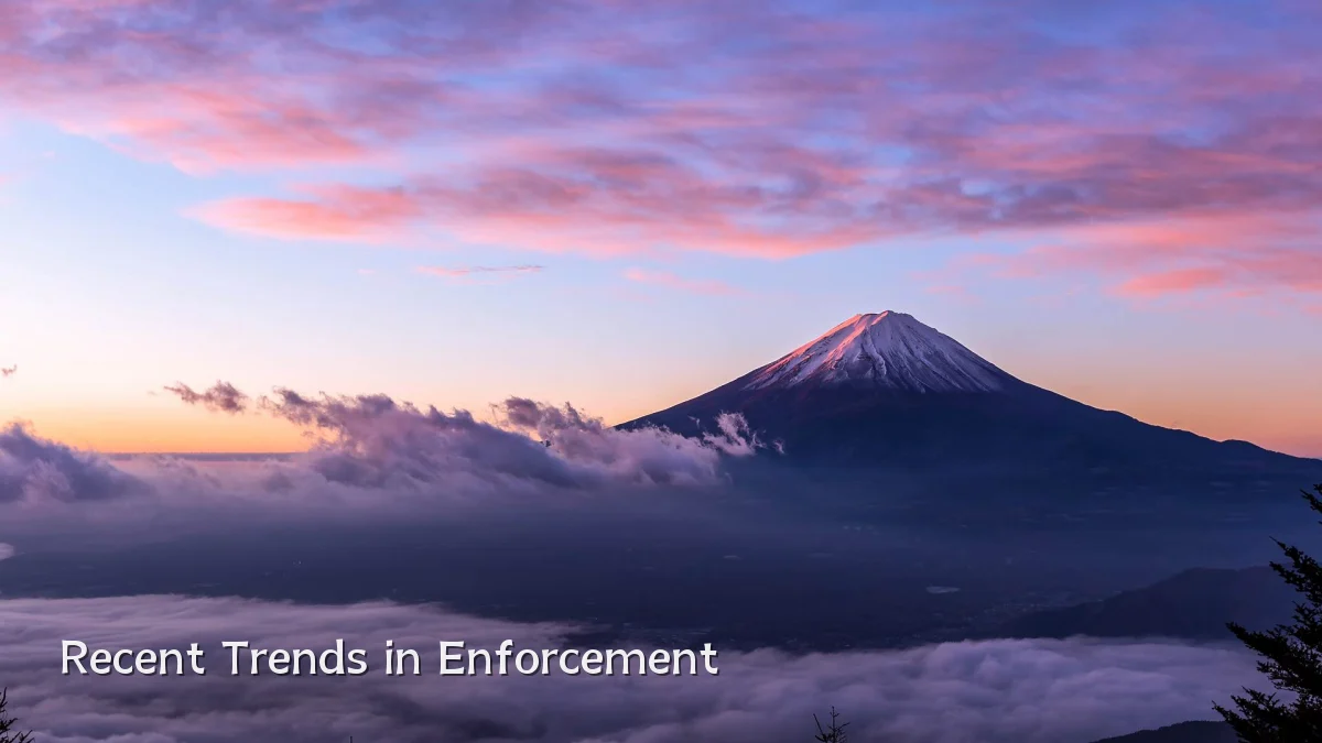 Recent Trends in Enforcement