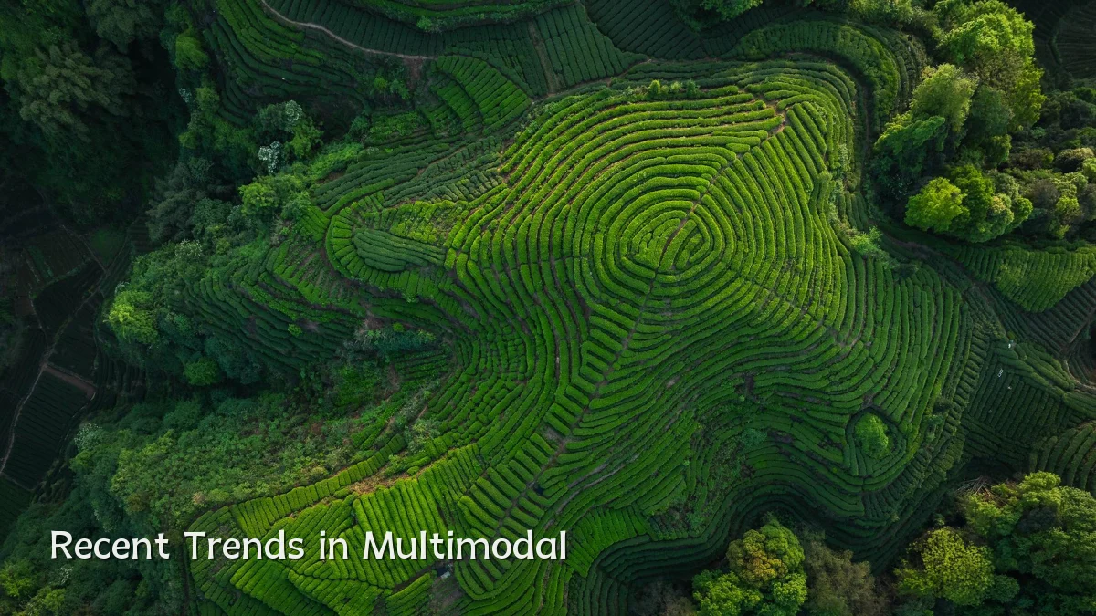 Recent Trends in Multimodal