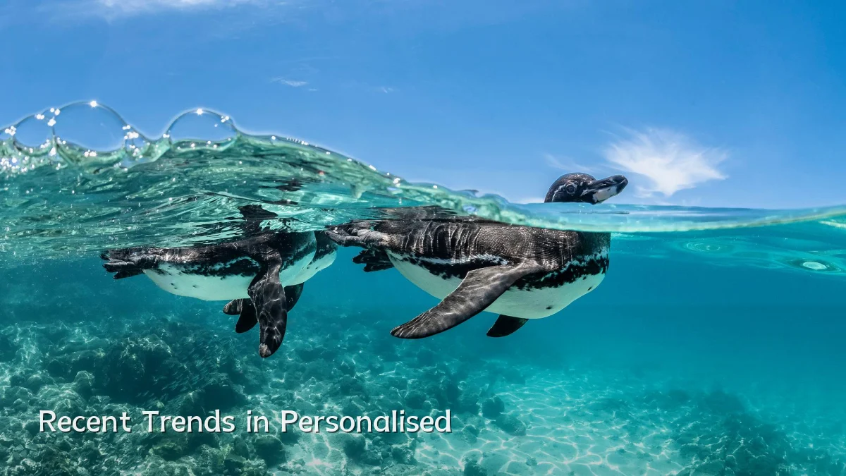 Recent Trends in Personalised