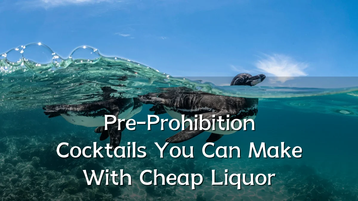 Pre-Prohibition Cocktails You Can Make With Cheap Liquor