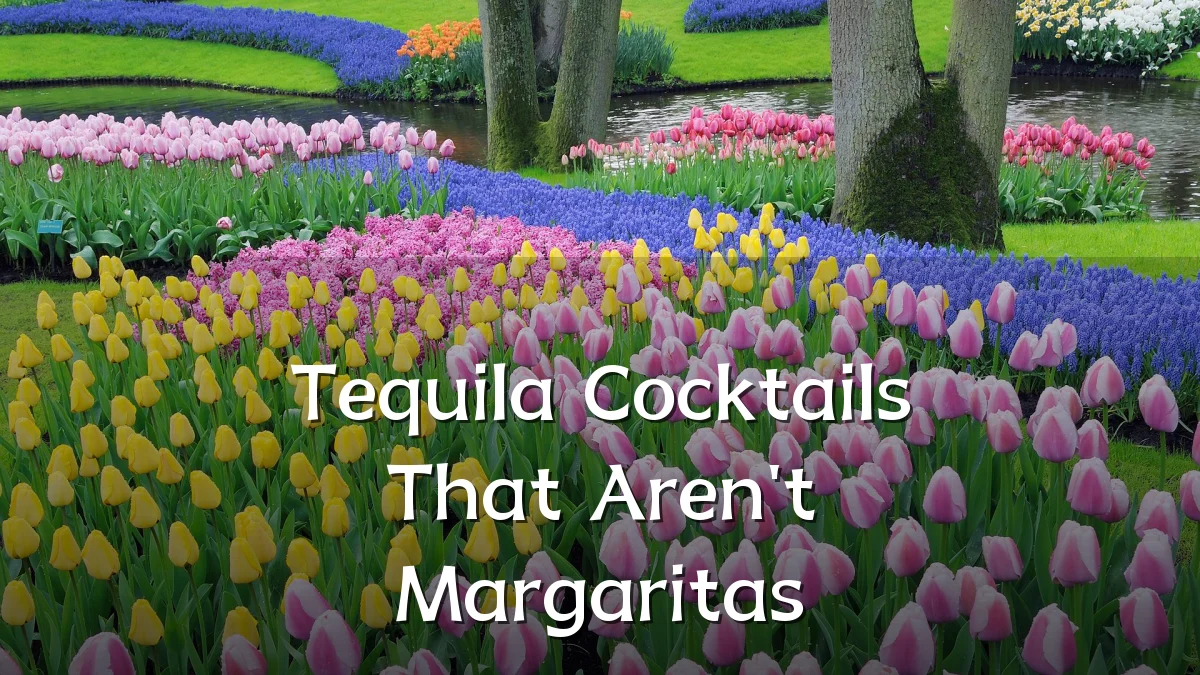 Tequila Cocktails That Aren't Margaritas