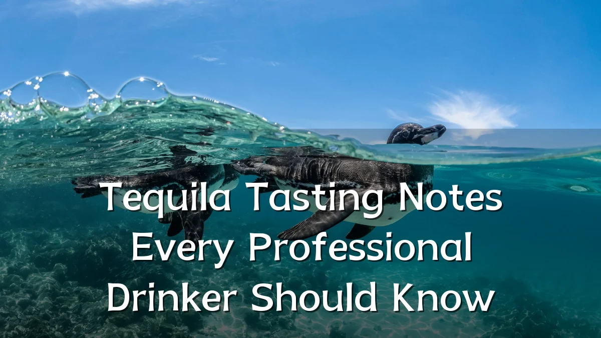 Tequila Tasting Notes Every Professional Drinker Should Know