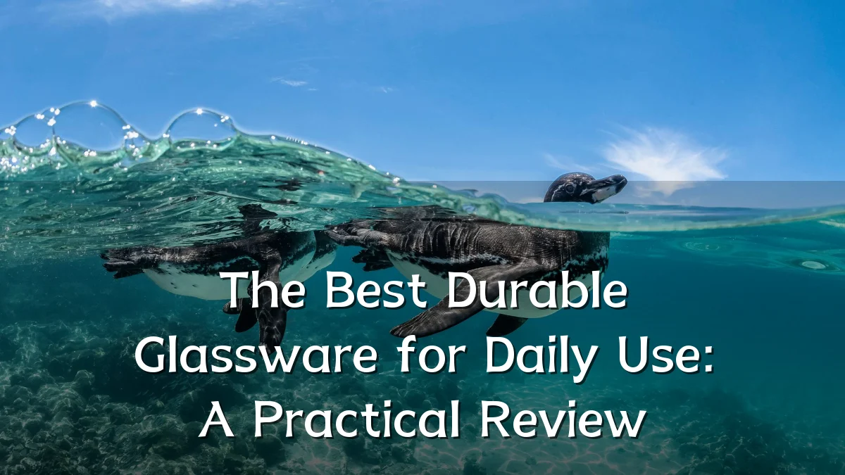 The Best Durable Glassware for Daily Use: A Practical Review