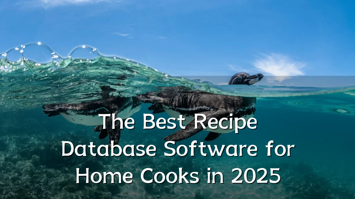 The Best Recipe Database Software for Home Cooks in 2025