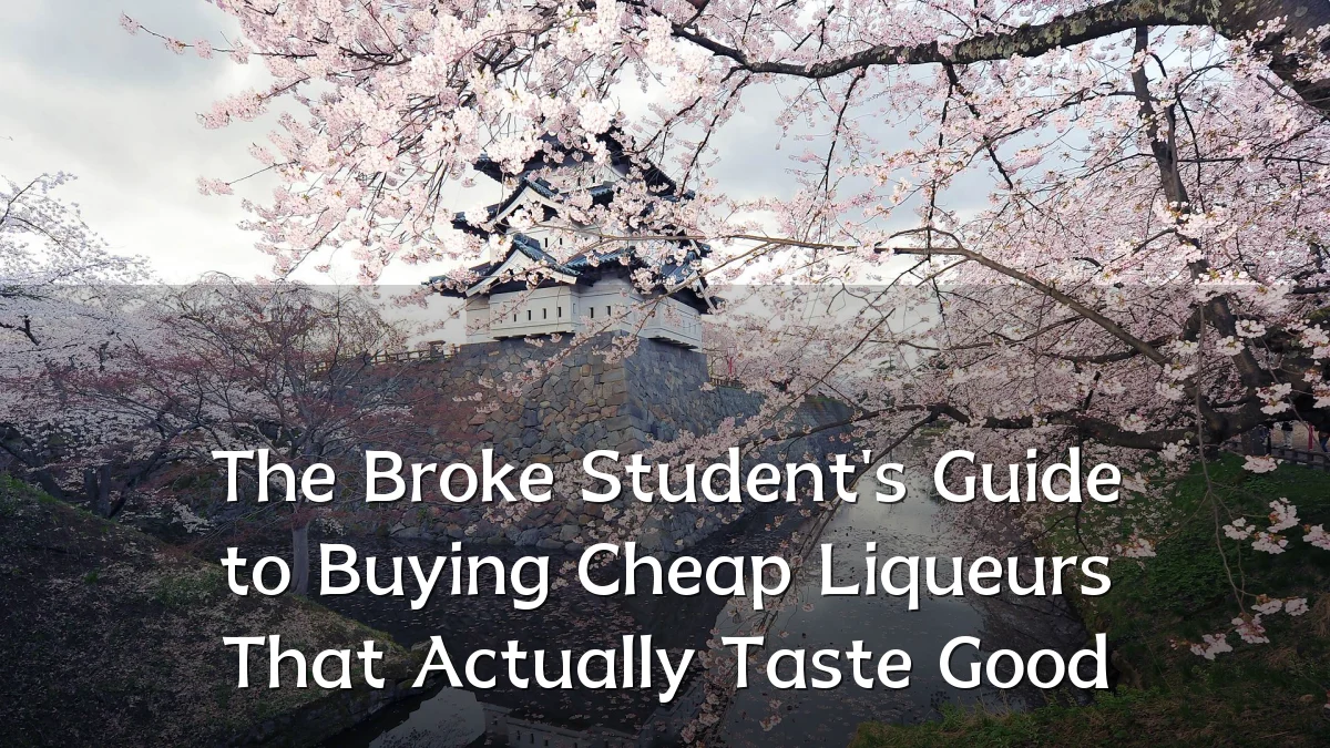 The Broke Student's Guide to Buying Cheap Liqueurs That Actually Taste Good