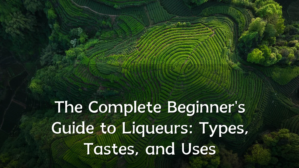 The Complete Beginner's Guide to Liqueurs: Types, Tastes, and Uses