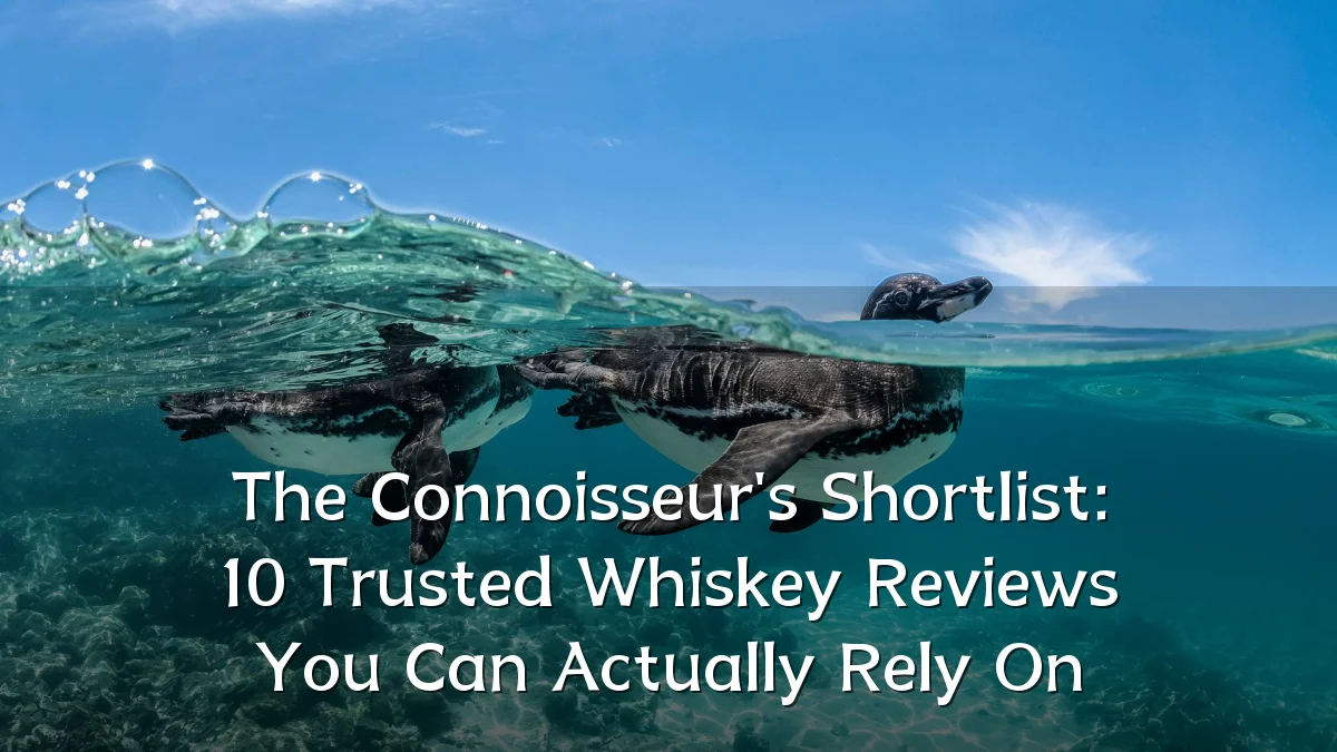 The Connoisseur's Shortlist: 10 Trusted Whiskey Reviews You Can Actually Rely On