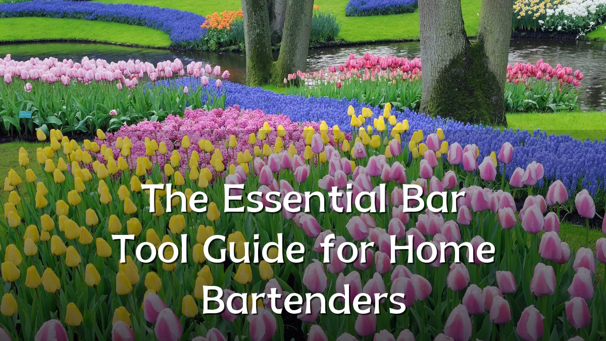 The Essential Bar Tool Guide for Home Bartenders