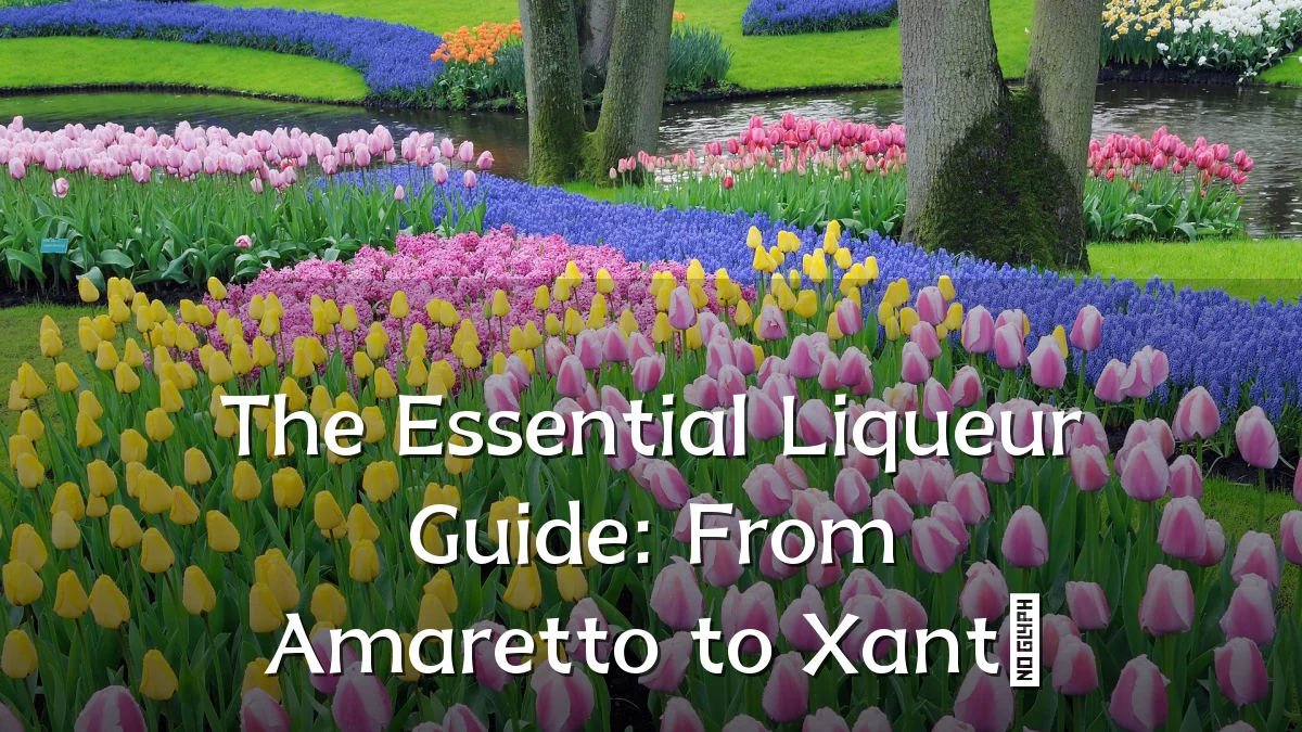 The Essential Liqueur Guide: From Amaretto to Xanté