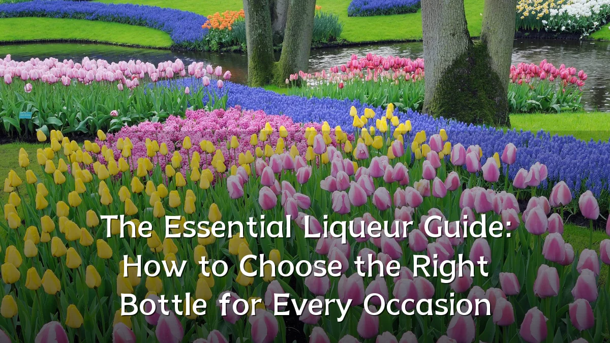 The Essential Liqueur Guide: How to Choose the Right Bottle for Every Occasion