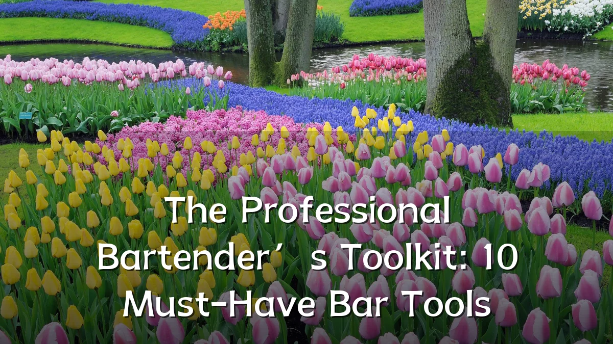 The Professional Bartender’s Toolkit: 10 Must-Have Bar Tools