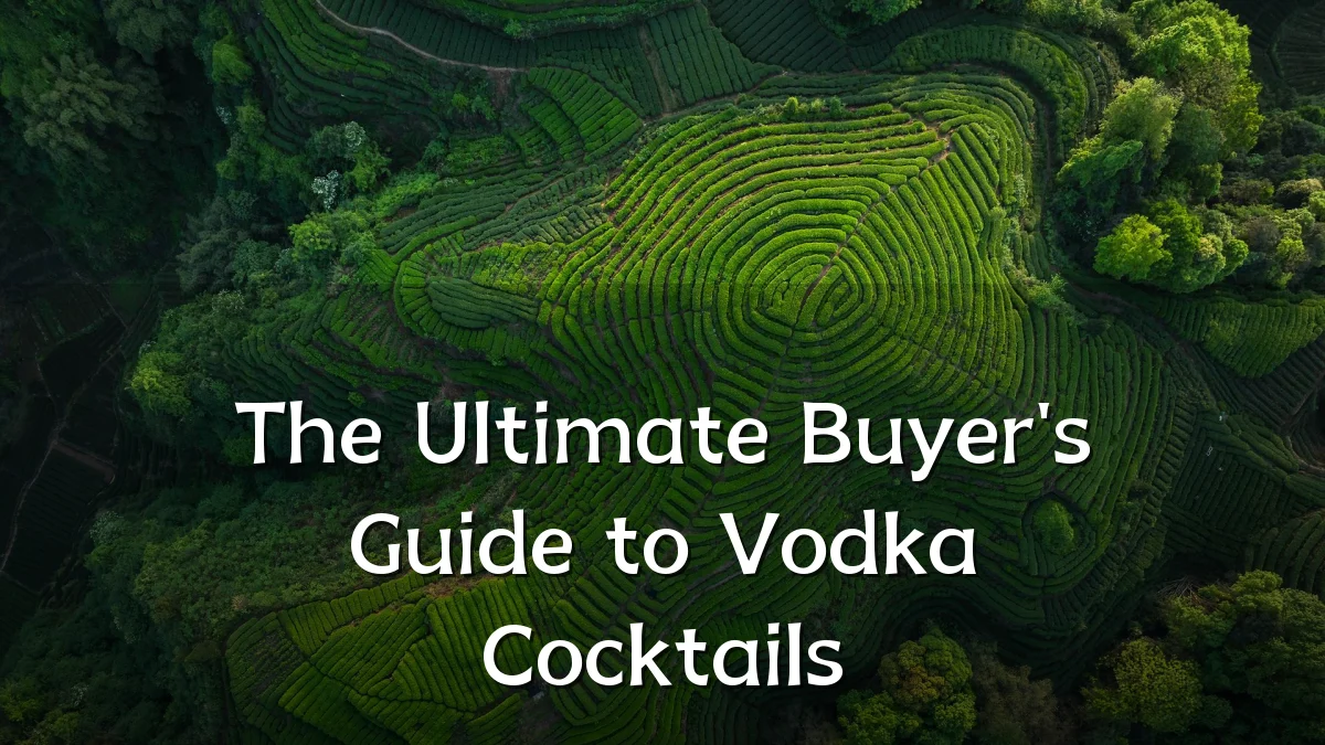 The Ultimate Buyer's Guide to Vodka Cocktails
