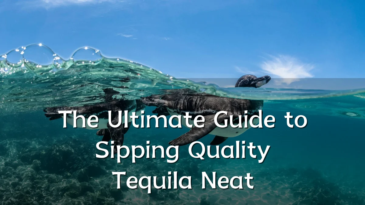 The Ultimate Guide to Sipping Quality Tequila Neat