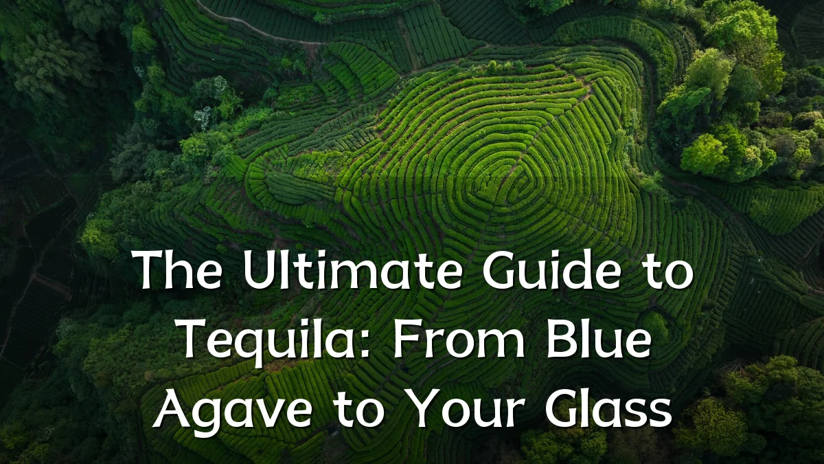 The Ultimate Guide to Tequila: From Blue Agave to Your Glass