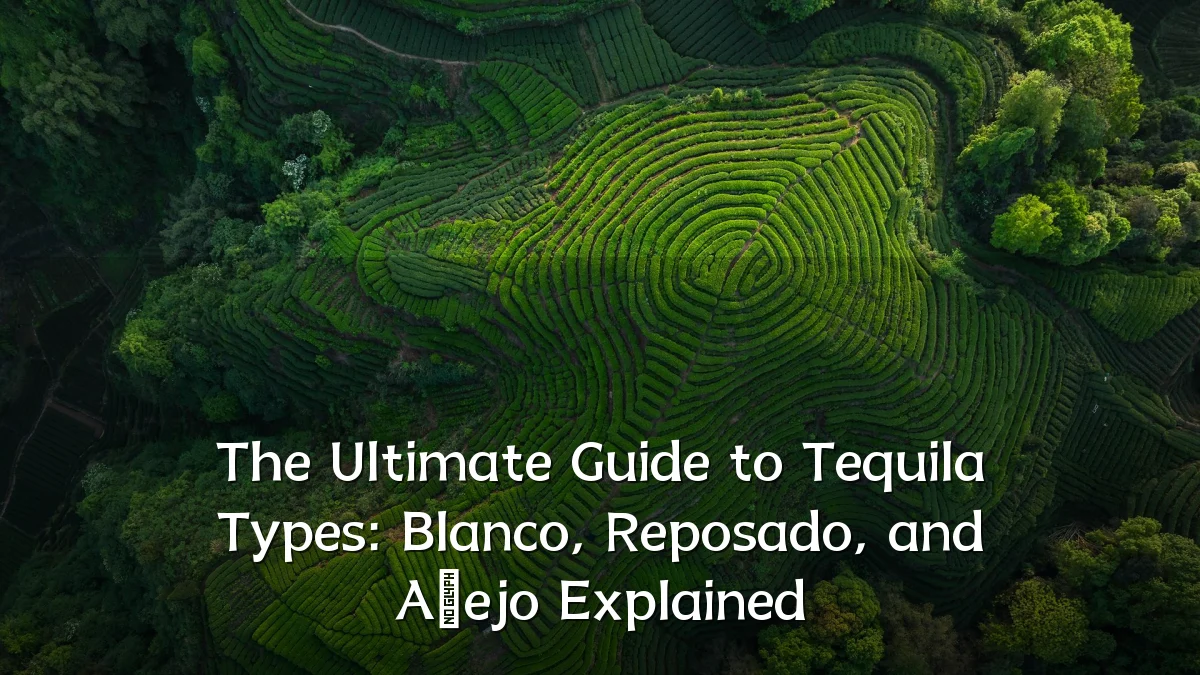 The Ultimate Guide to Tequila Types: Blanco, Reposado, and Añejo Explained