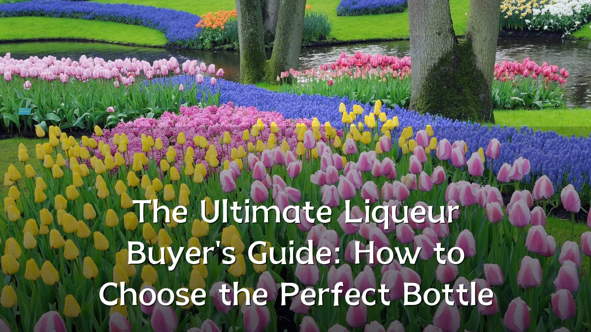 The Ultimate Liqueur Buyer's Guide: How to Choose the Perfect Bottle