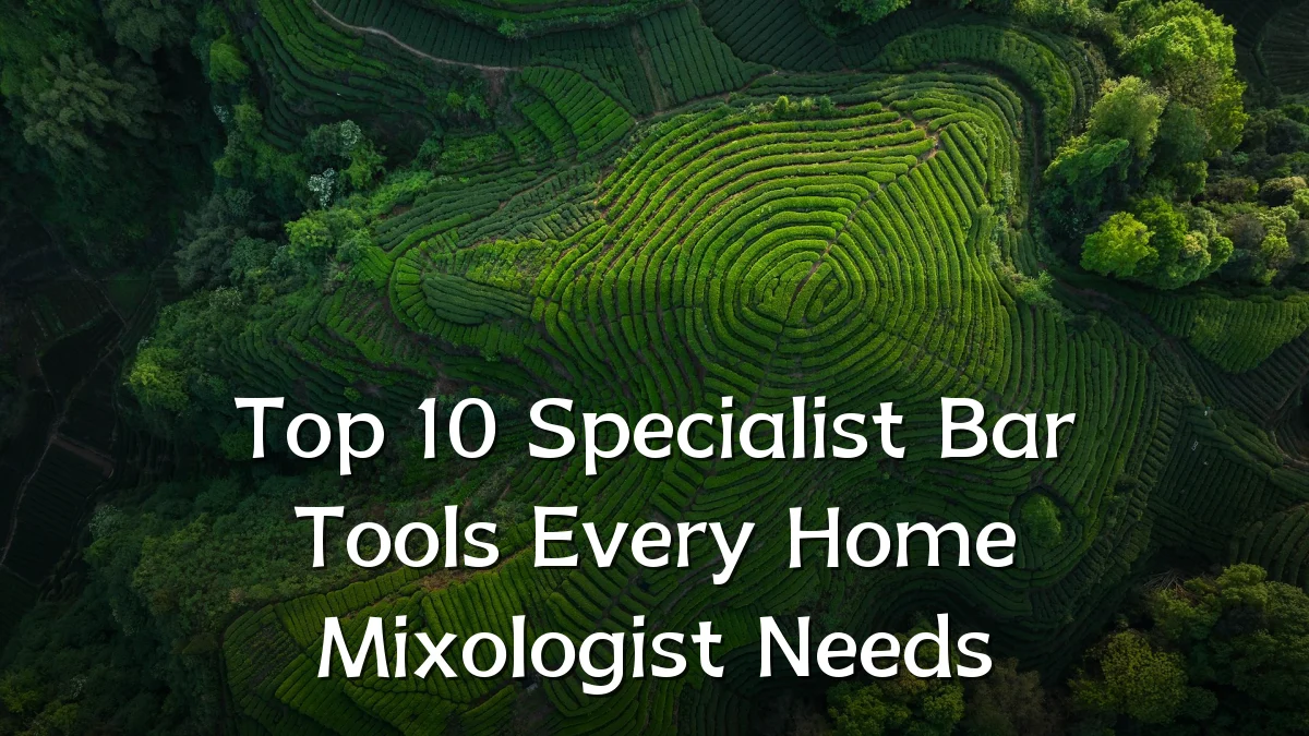 Top 10 Specialist Bar Tools Every Home Mixologist Needs