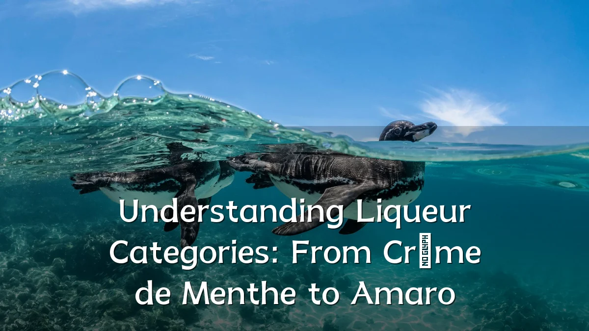 Understanding Liqueur Categories: From Crème de Menthe to Amaro