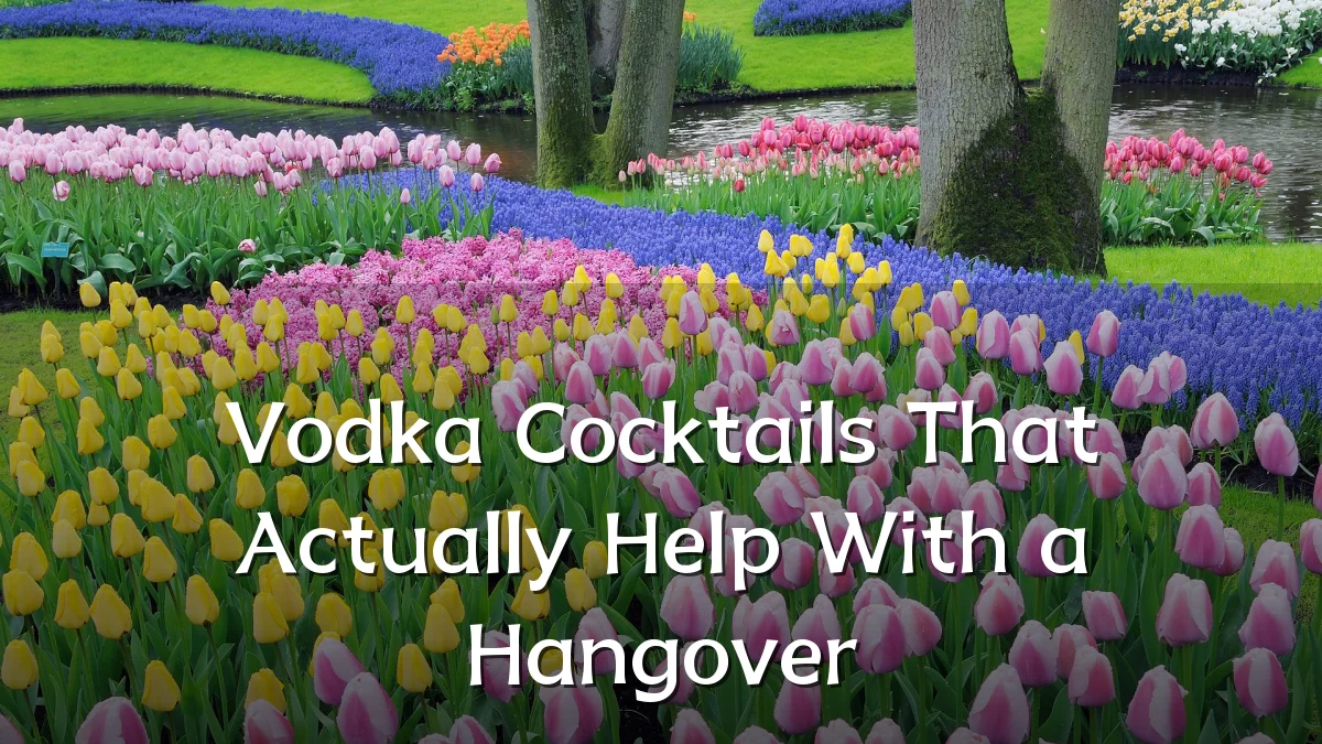 Vodka Cocktails That Actually Help With a Hangover
