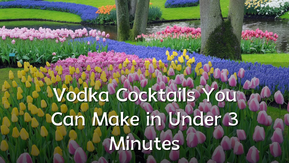 Vodka Cocktails You Can Make in Under 3 Minutes