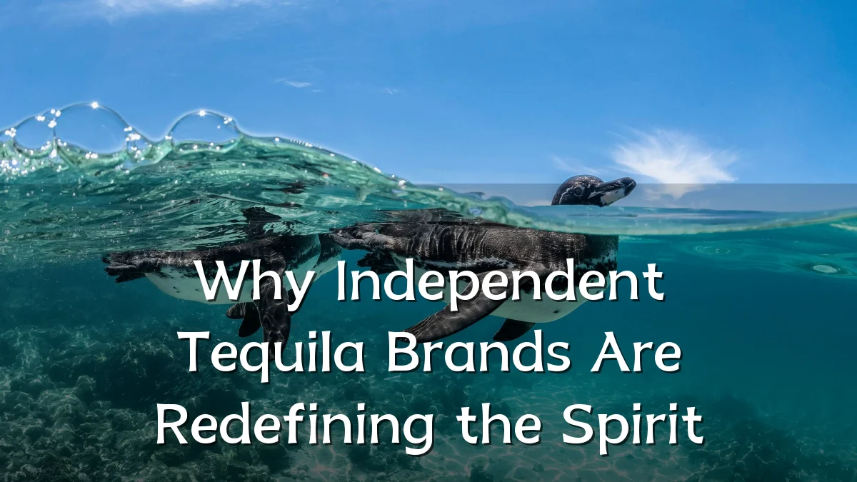 Why Independent Tequila Brands Are Redefining the Spirit
