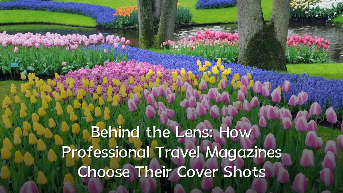 Behind the Lens: How Professional Travel Magazines Choose Their Cover Shots
